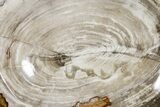 Petrified Wood Dish - Indonesia #176232-3